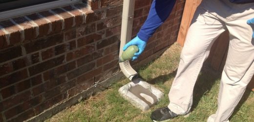 Eliminate Undesirable unwanted pests With Best Bug Control Service in Sydney