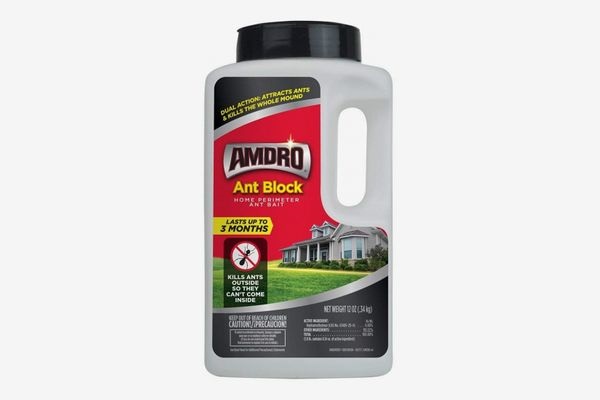 Finding the Best Ant Repellent for My Home