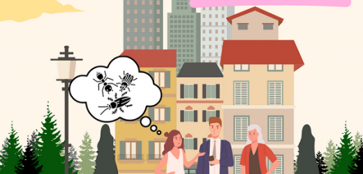    Termite & Pest Control Issues: 3 Helpful Tips For Commercial Clients