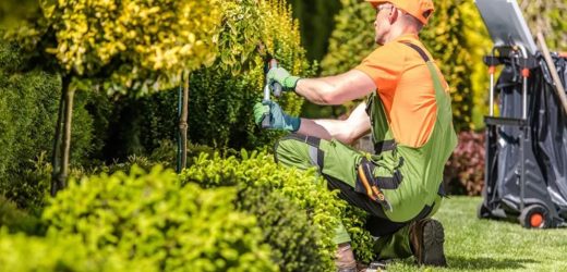Transform Your Outdoor Space: Hiring Local Landscapers for Stunning Results