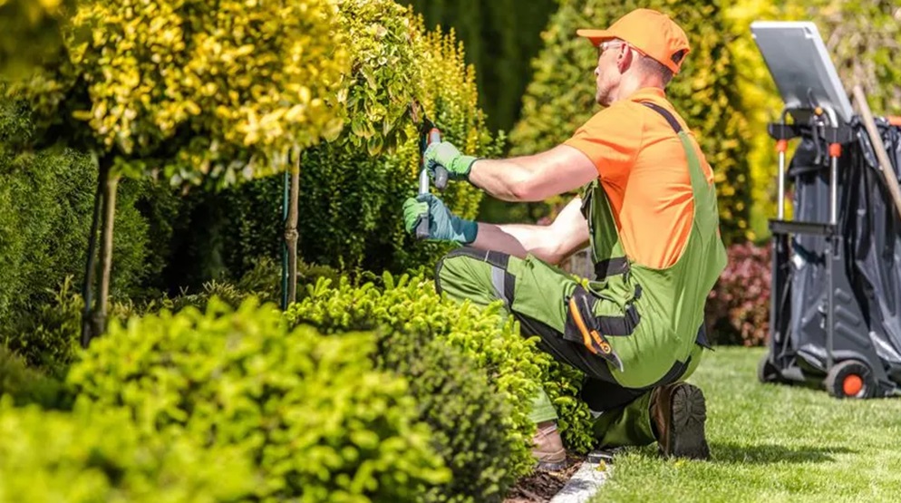 Hiring Local Landscapers