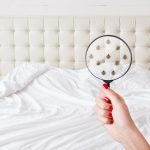 Should You Take Bed Pest Control Seriously?