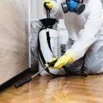 How to Choose the Best Pest Control Company in Seattle?