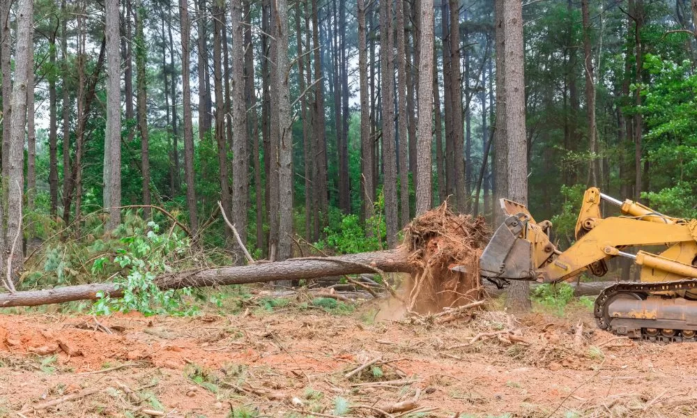 land clearing