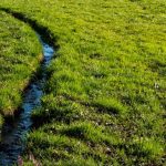 Why Hiring Professionals for Drainage Solutions Saves Money in the Long Run