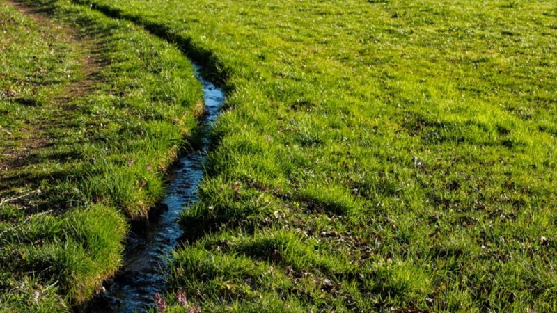 Why Hiring Professionals for Drainage Solutions Saves Money in the Long Run