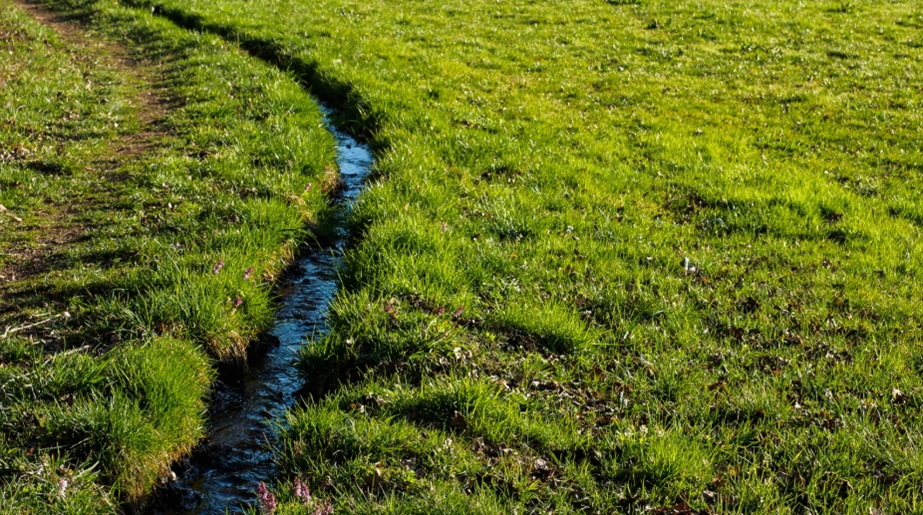 Drainage Solutions Saves